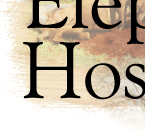 Free Hosting Referral Program