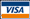 Pay with Visa 